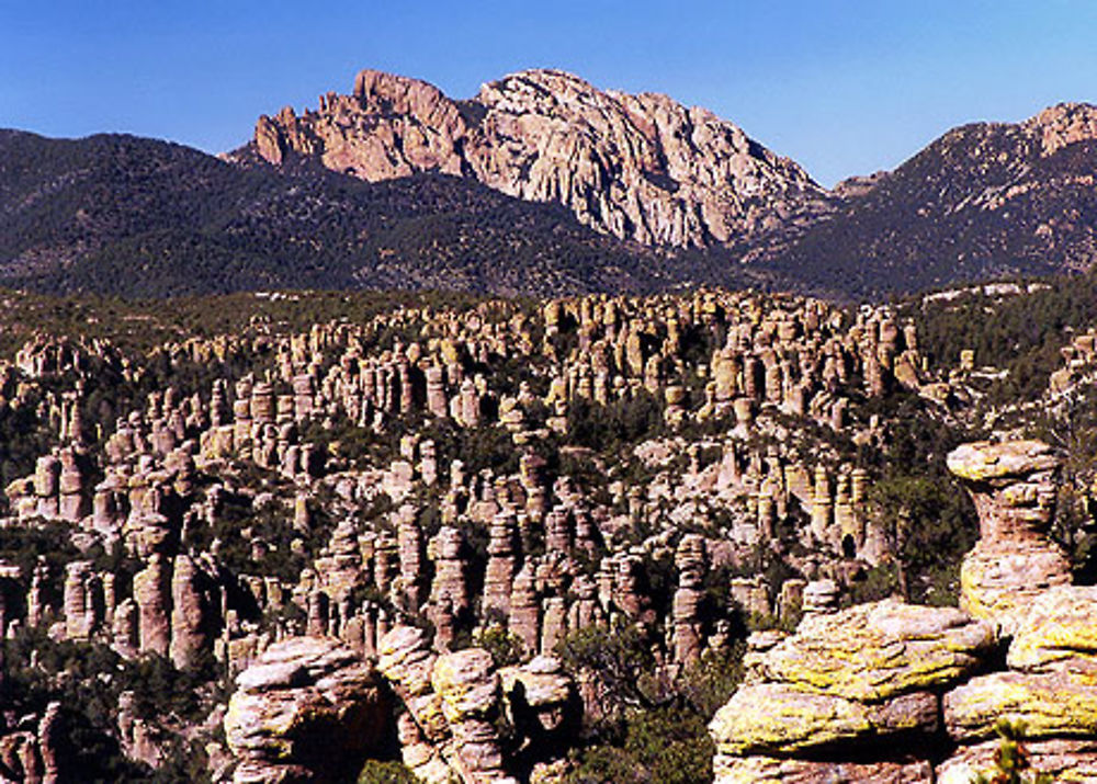 Chiricahua National Park