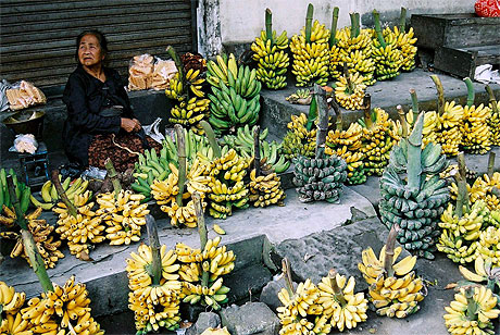 Vendeuse de Bananes March s Jakarta Java Indon sie  