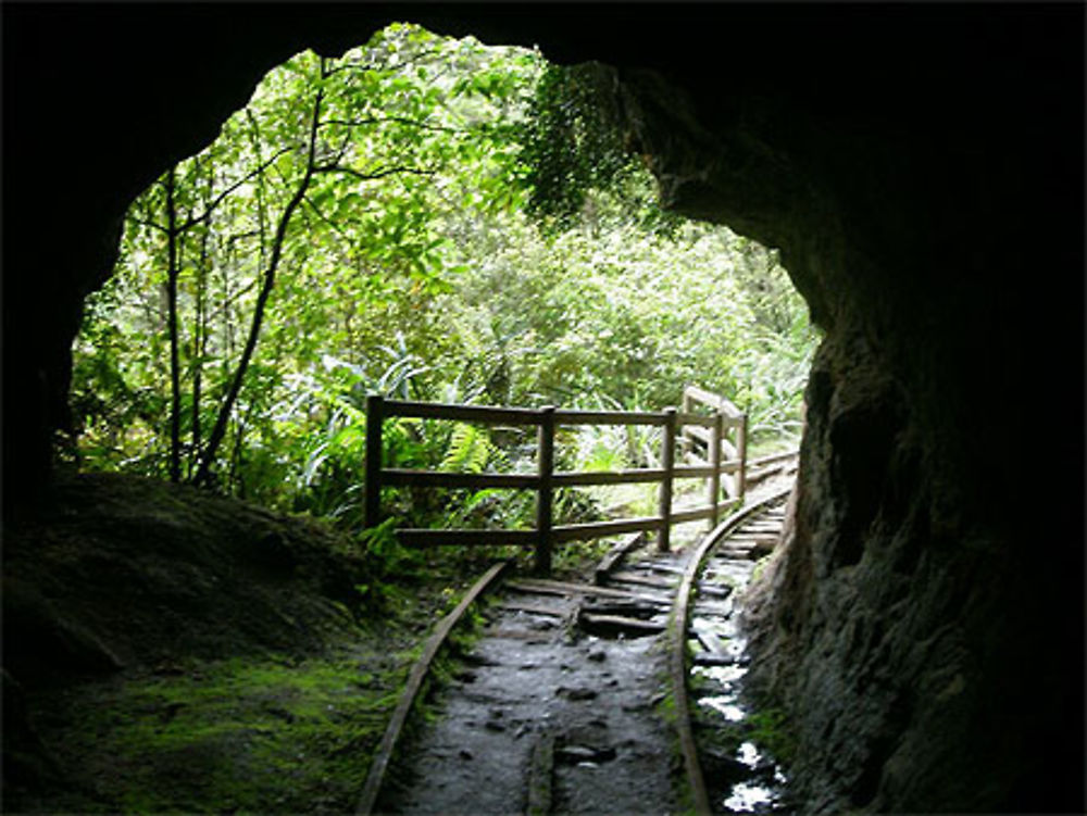 Trek de Charming Creek