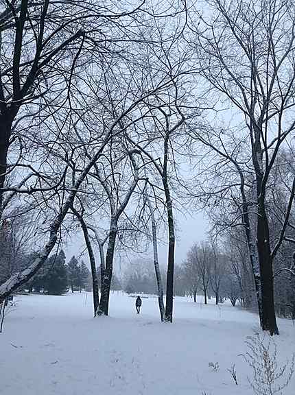 Première neige à Montréal