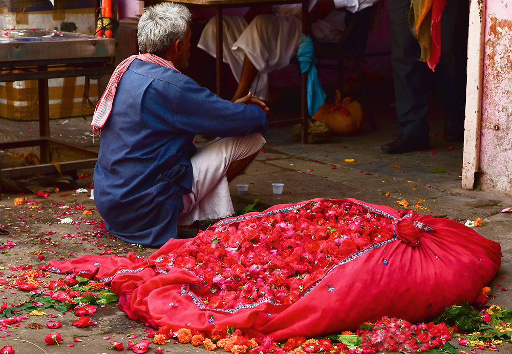 Marché aux fleurs à Jaipur