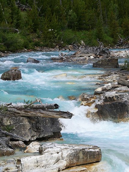 Marble Canyon, Parc National de Kootenay Rocheuses