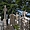 Monasterboice cemetery
