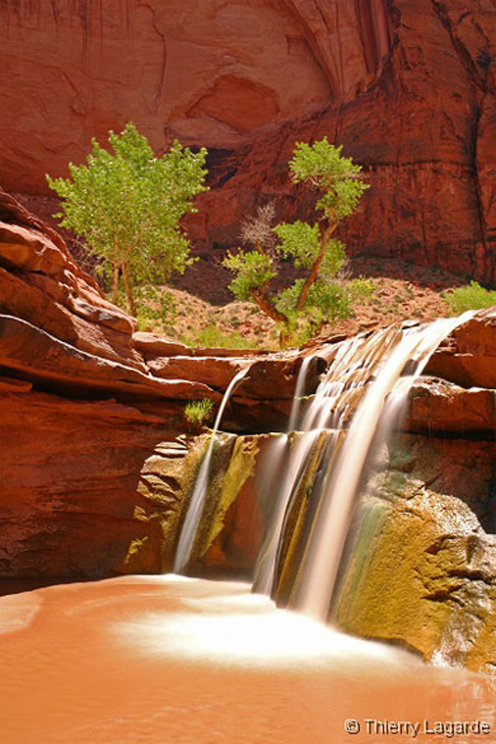 Coyote gulch