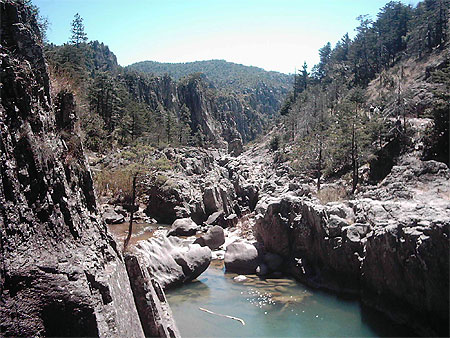 Llegando à la cascada de Basaseachi Llegando à la cascada de Basaseachi