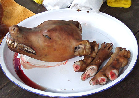 Chien laqué marché de Ho lu Chien laqué marché de Ho lu
