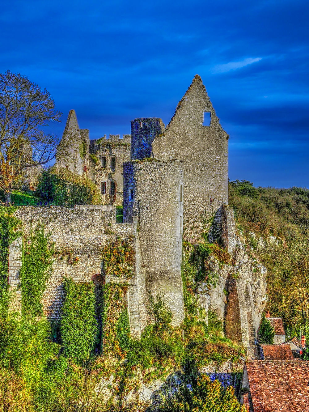 Ruines du Château d'Angles-sur-l'Anglin