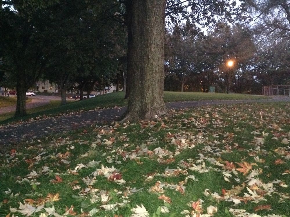 Parc Étienne-Desmarteau