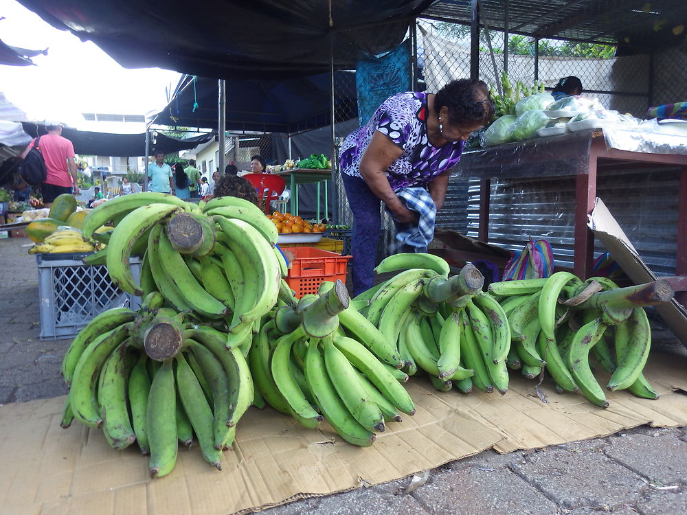 Marché Puerto Baquerizo