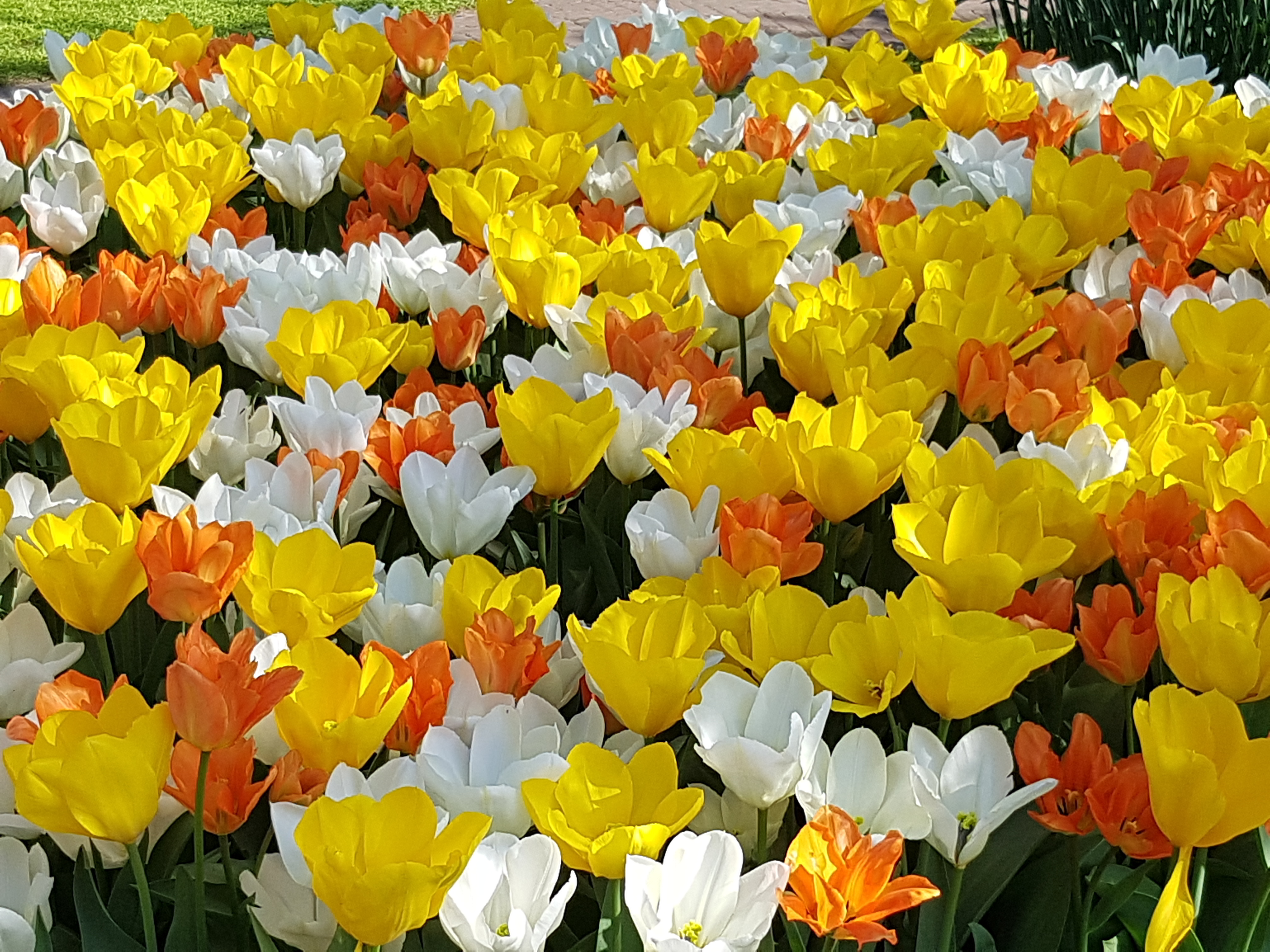 Tout en jaune Tout en jaune