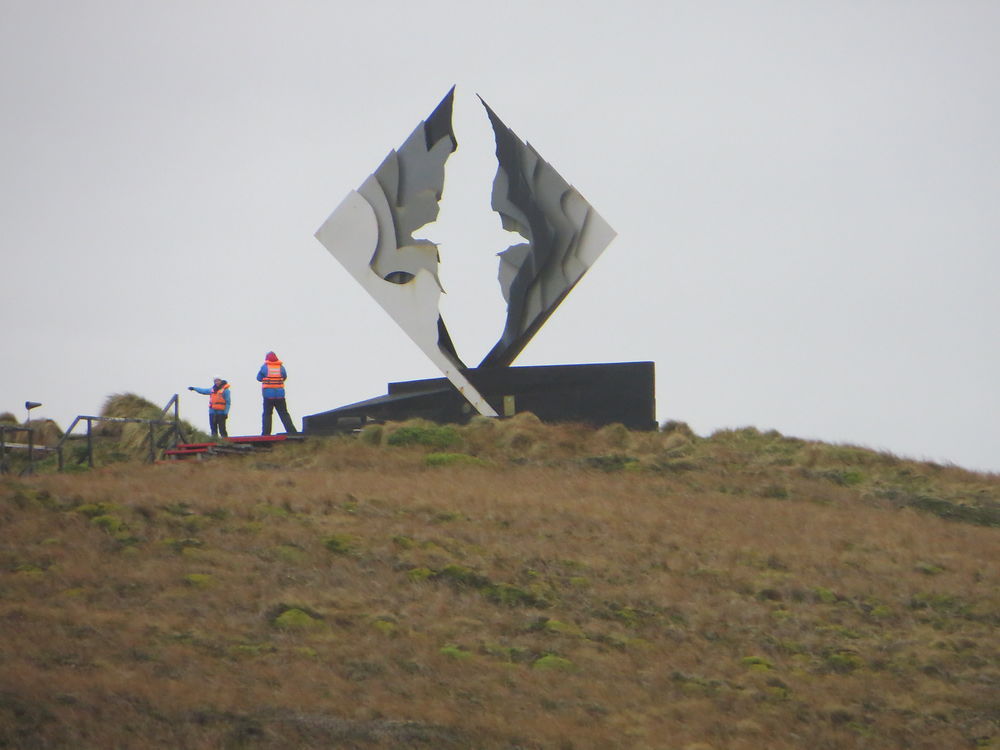 L'albatros du Cap Horn