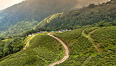 Inde : Darjeeling, au pays du th&eacute;