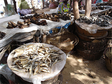 Poissons séchés Poissons séchés