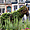 Schaerbeek - L'âne, animal emblématique de cette commune