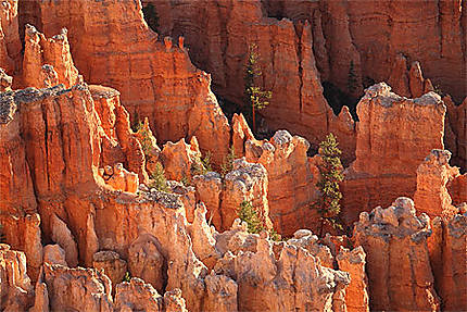 Hoodoos à Bryce canyon national park, Utah