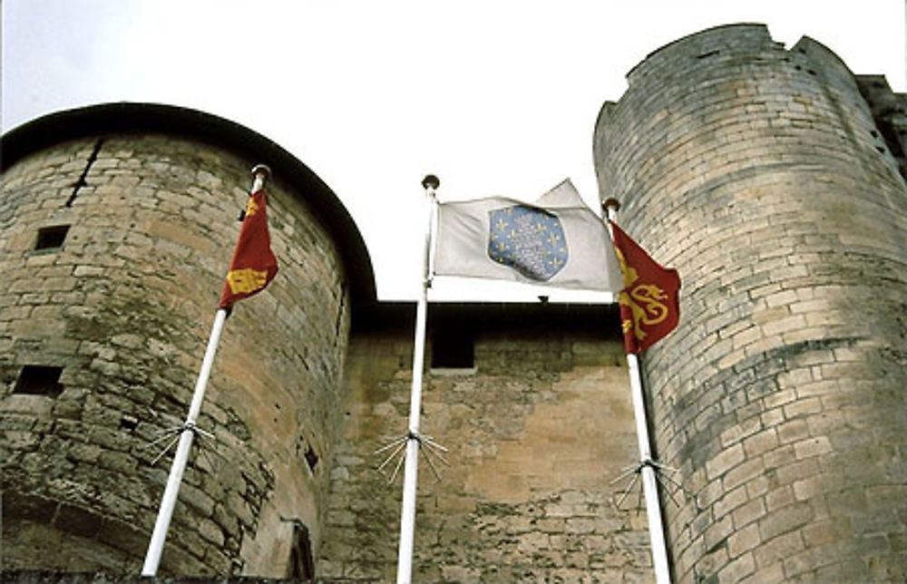 Le donjon de Niort