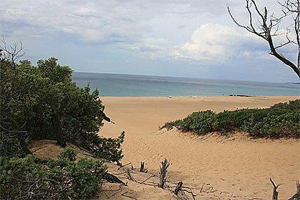 Dunes de la plage