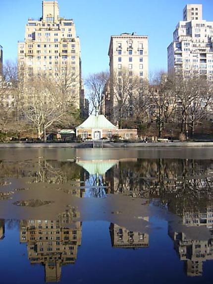Central Park, bassin gelé et reflets