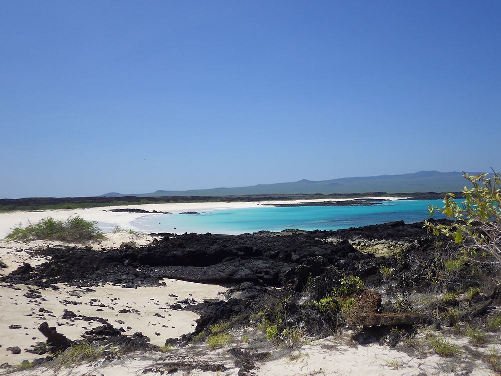 Plage de Cerro Brujo