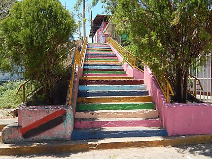 San Carlos - Escaliers