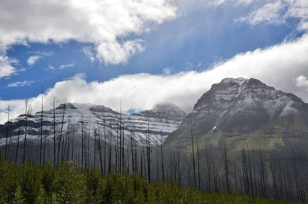 Panorama Kootenay Park, depuis Marble Canyon