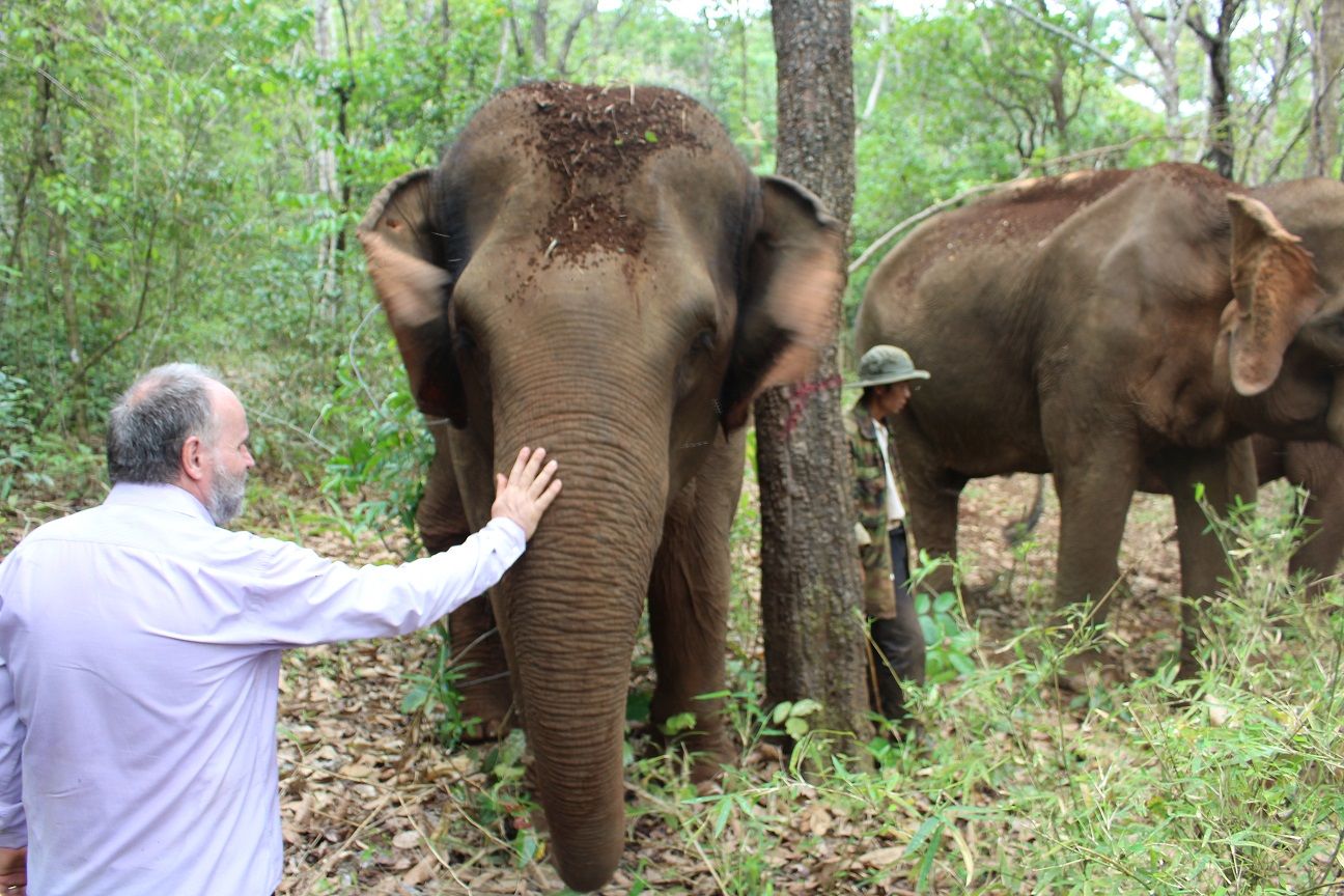Voyage avec les éléphants à Mondulkiri