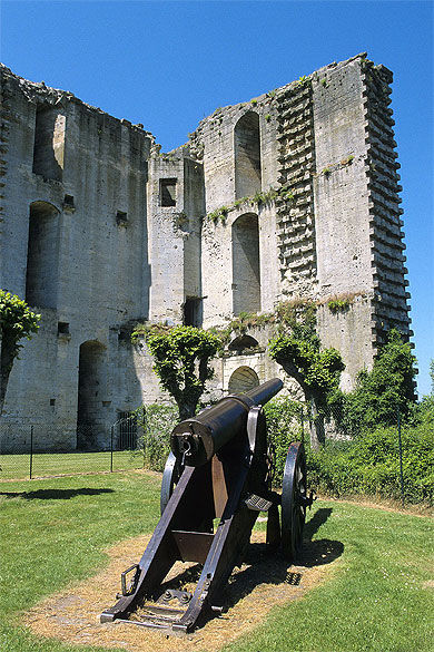 Ruines du château, La Ferté -Milon