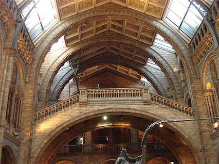 Musée des sciences et histoire Musée des sciences et histoire