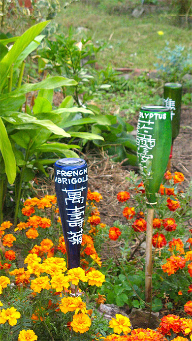 Jardin médicinal Jardin médicinal