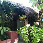 Cabanas la Conchita