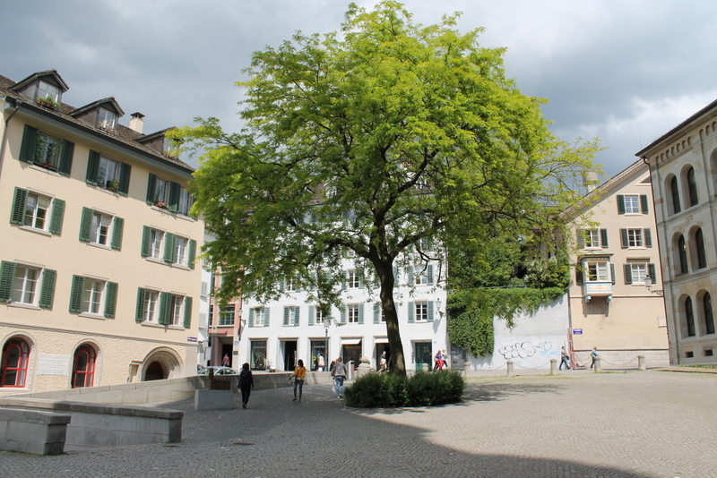 Zwingliplatz Zwingliplatz