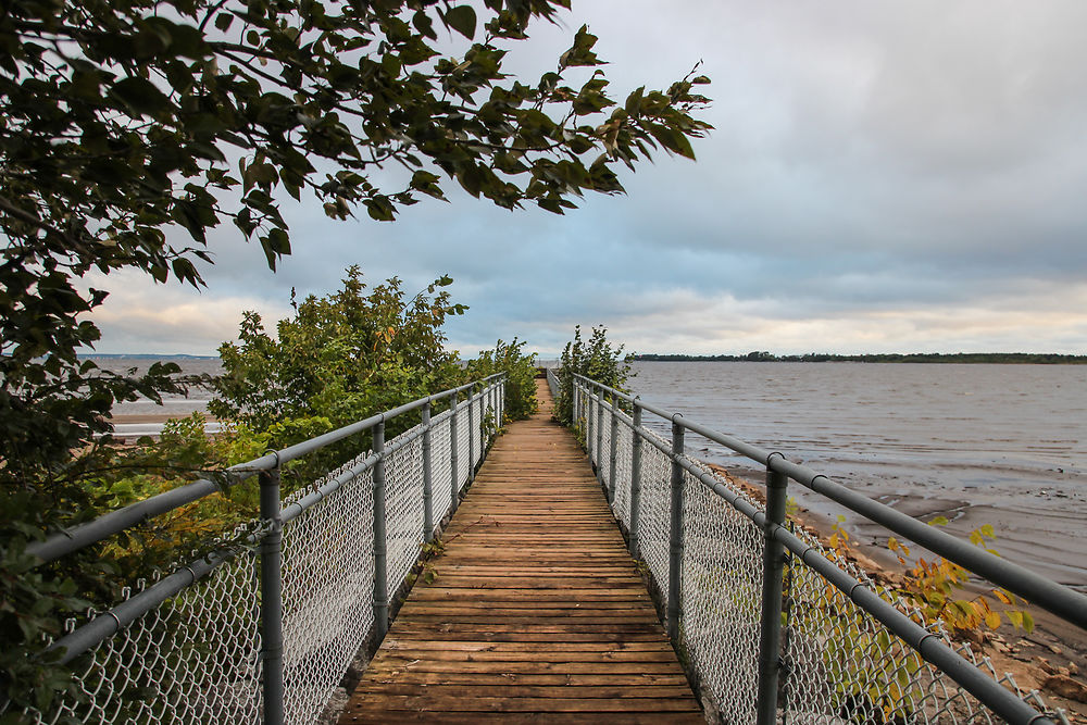 Sur le pont