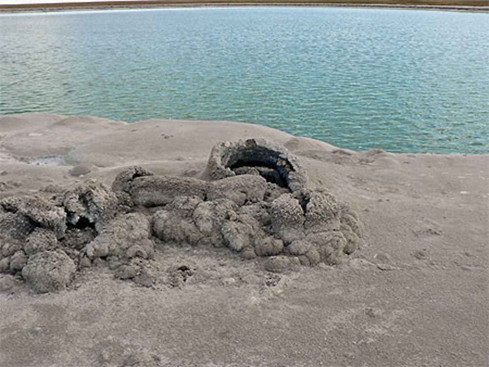 Laguna cejar, dans l'Atacama