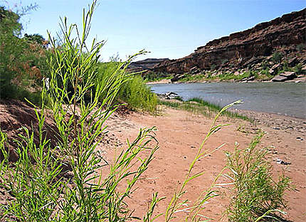 San Juan river