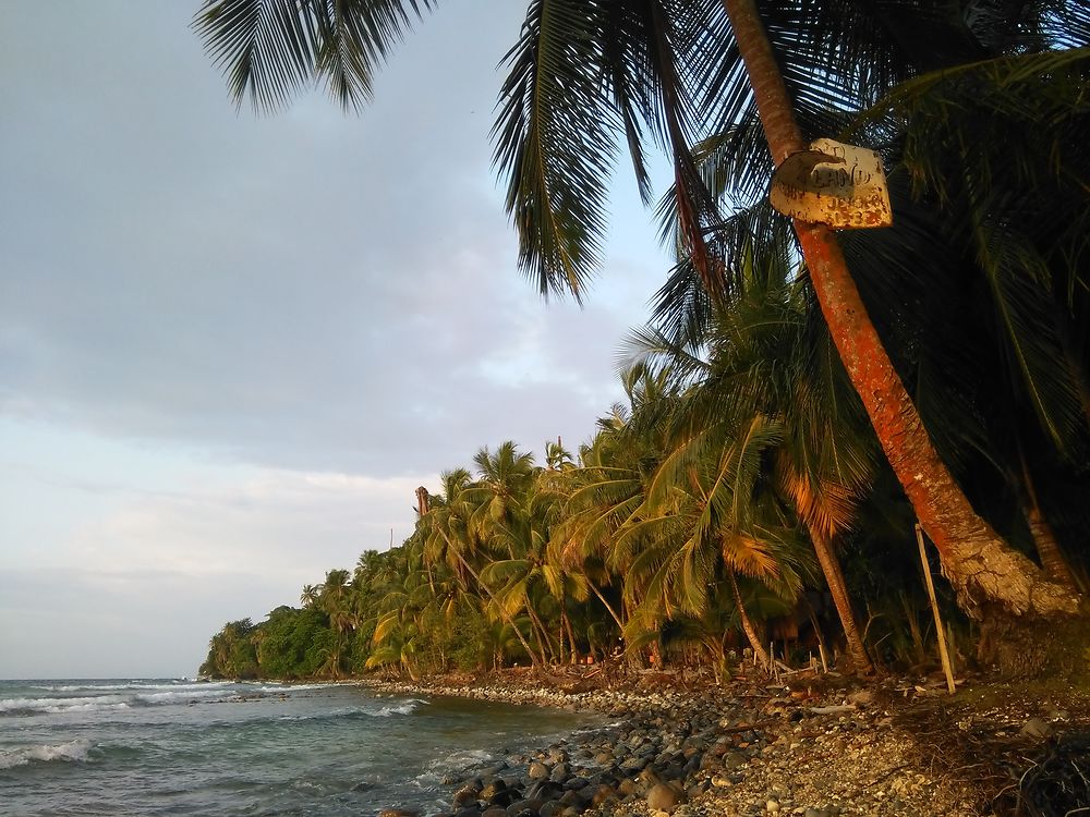 Île Bastimentos