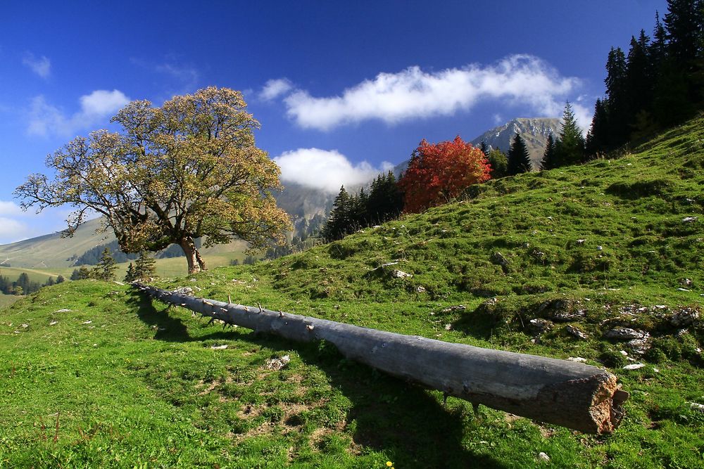 Paysage de la Suisse Romande