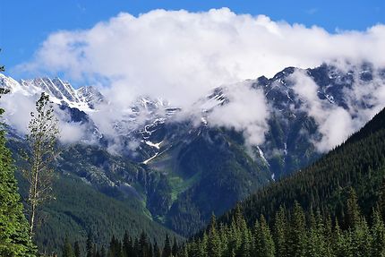 Paysages de la chaîne Columbia, Glacier Park