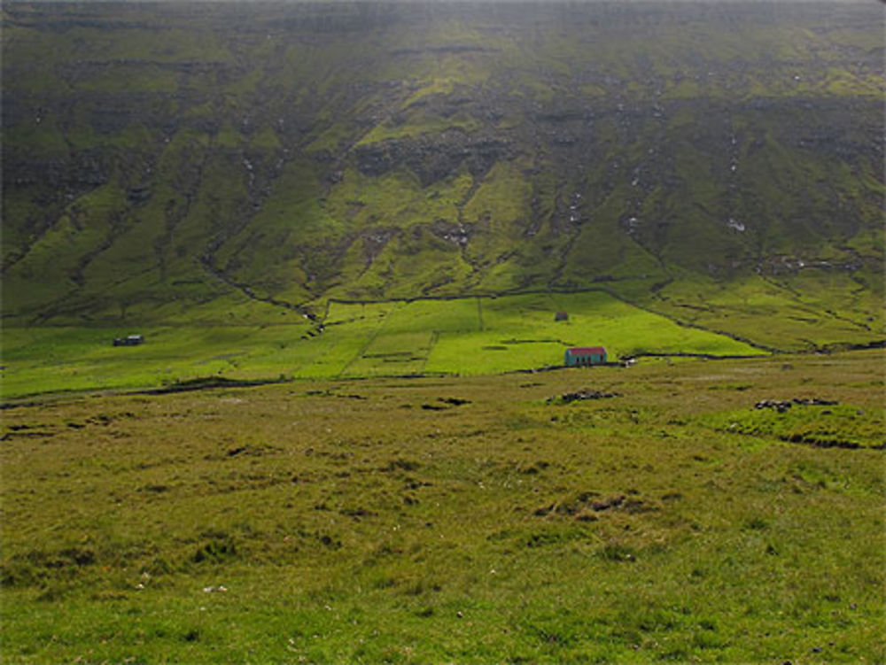 Environs de Sandvik