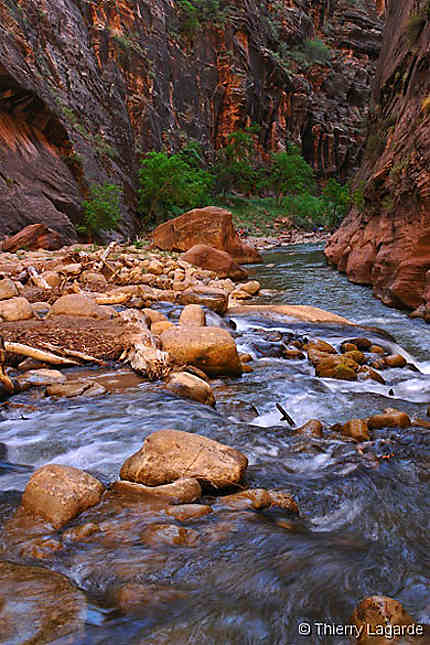 Virgin narrows