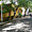 Une rue du Pondichéry colonial à l'heure de la sieste