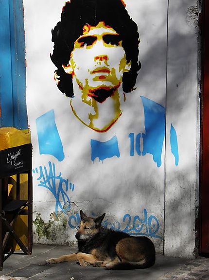 Maradona para siempre