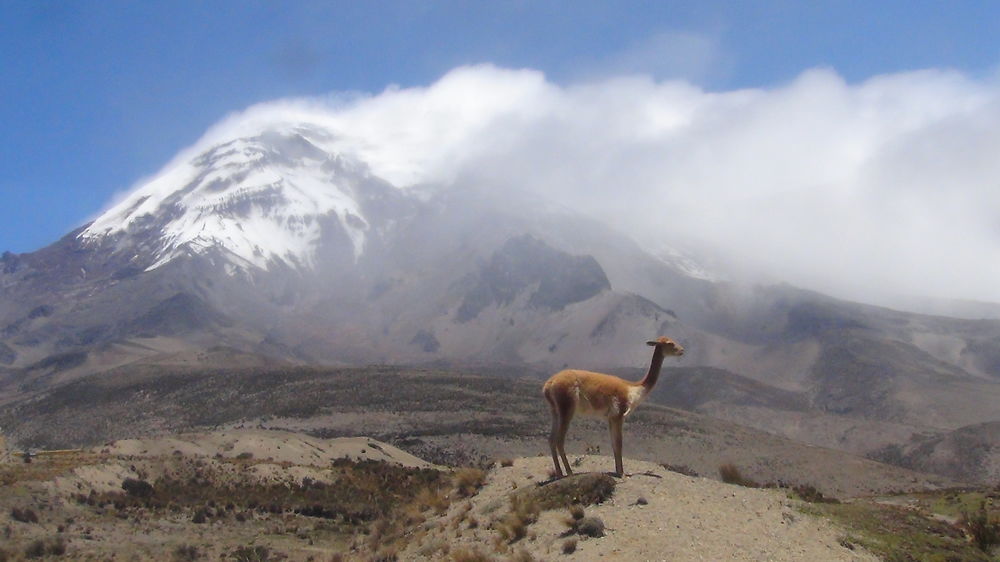 Volcan Tunguraha