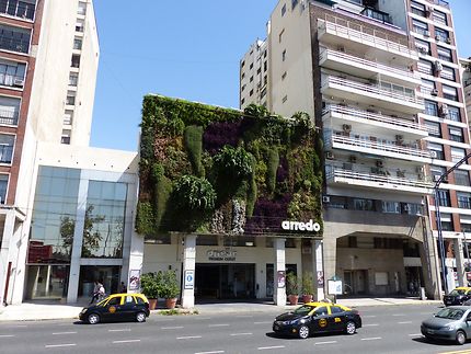 Mur végétal à Buenos Aires