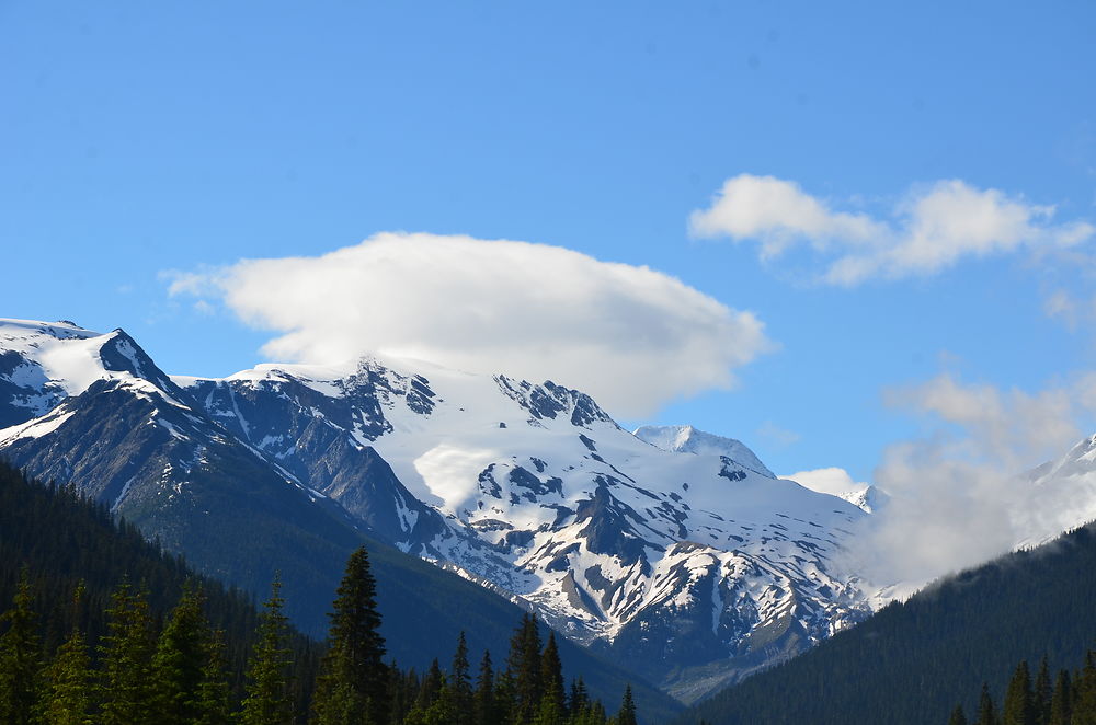 Paysages de la chaîne Columbia, Glacier Park