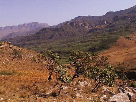 Montagnes du Drakensberg Montagnes du Drakensberg