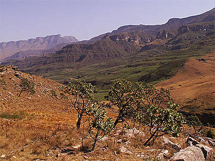 Montagnes du Drakensberg