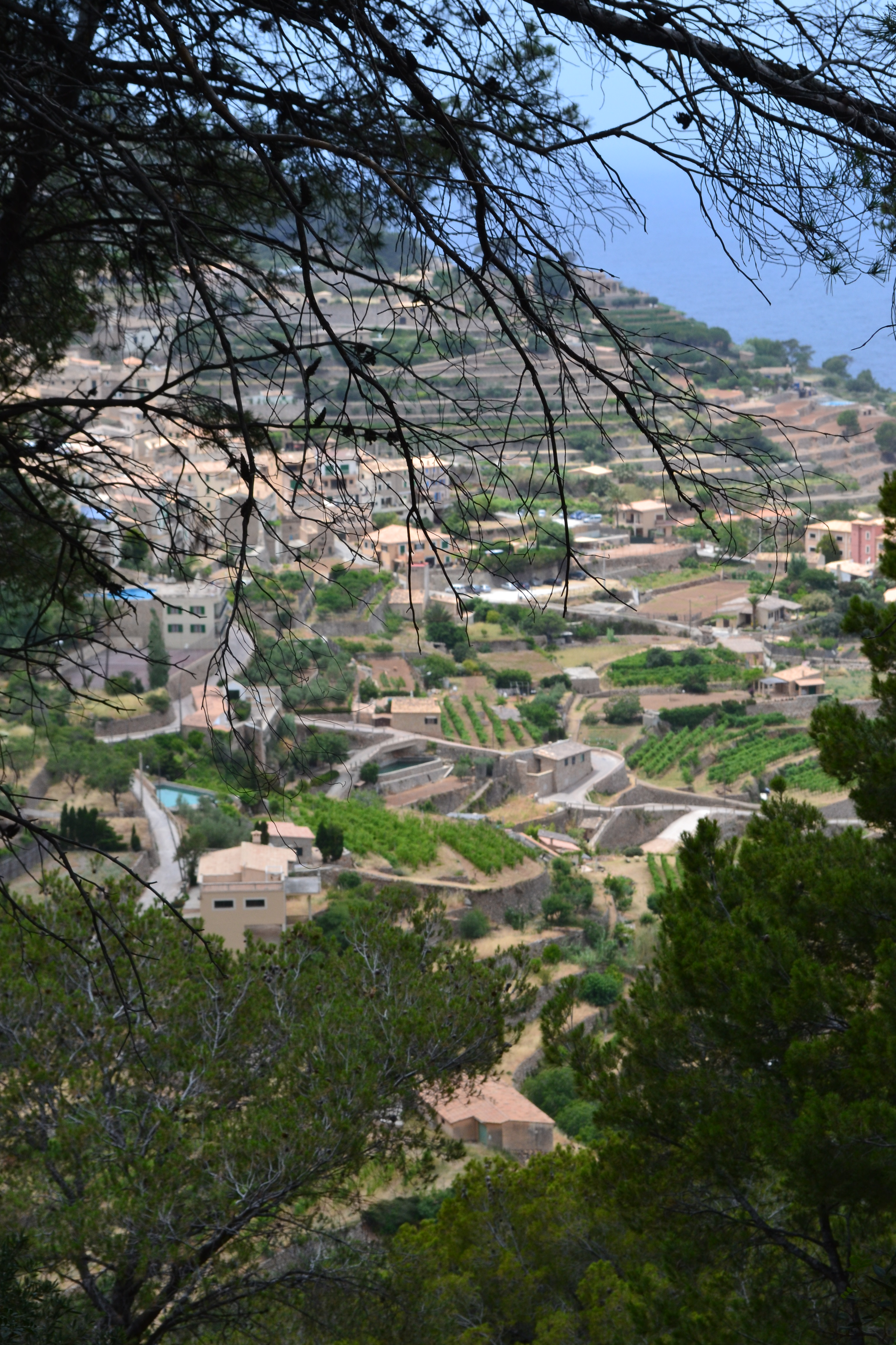 Banyalbufar Banyalbufar