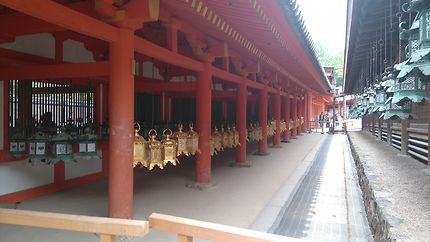 Les lanternes en bronze au temple Kasugataisha à N