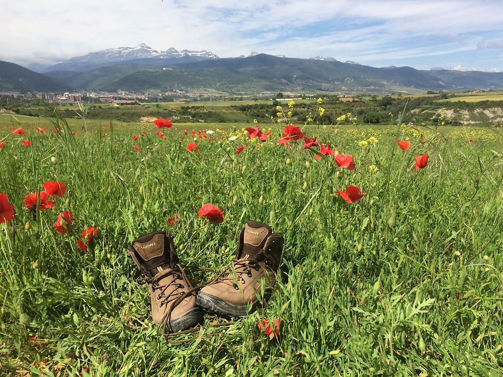 Vue sur la ville de Jaca 