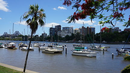 Les bateaux de la rivière traversant Brisbane